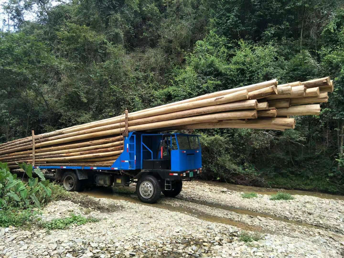 云南省昆明市客户购买四驱爬山王拉木运输车